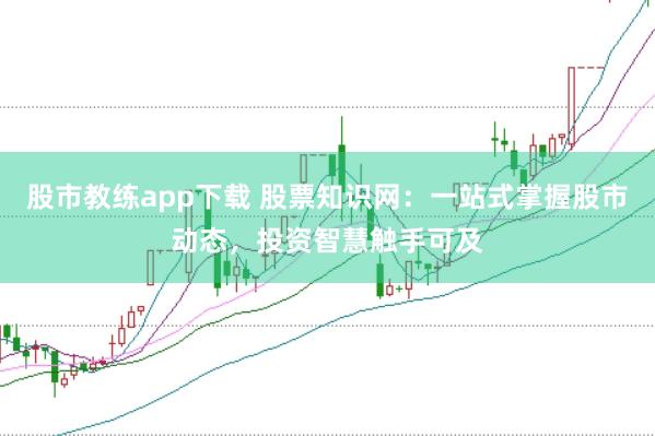 股市教练app下载 股票知识网：一站式掌握股市动态，投资智慧触手可及