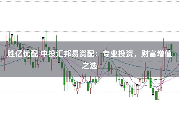 胜亿优配 中投汇邦易资配：专业投资，财富增值之选
