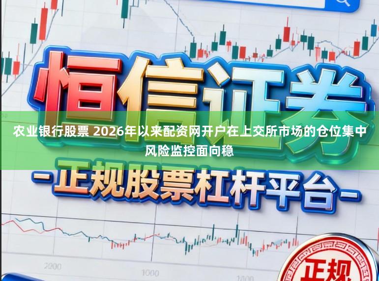 农业银行股票 2026年以来配资网开户在上交所市场的仓位集中风险监控面向稳