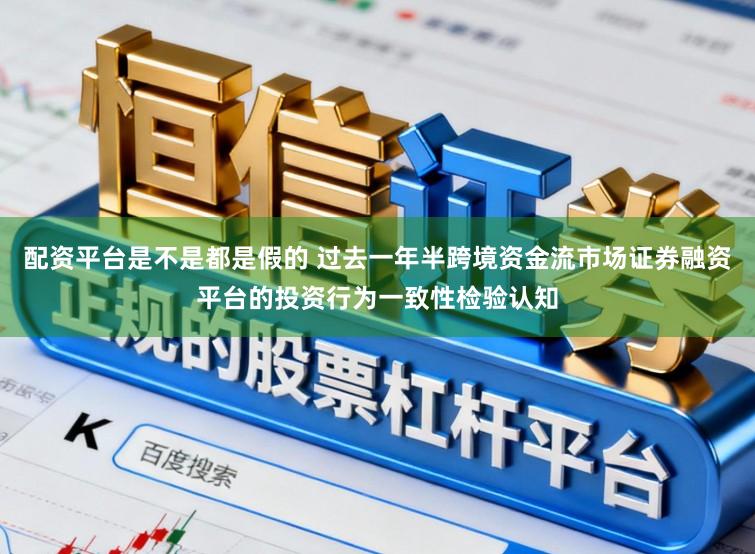 配资平台是不是都是假的 过去一年半跨境资金流市场证券融资平台的投资行为一致性检验认知
